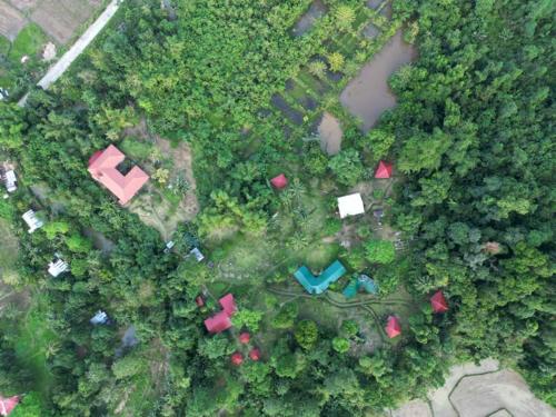 Bambua Nature Cottages