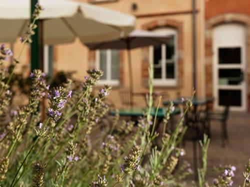 Ibis Styles Toulouse Lavaur