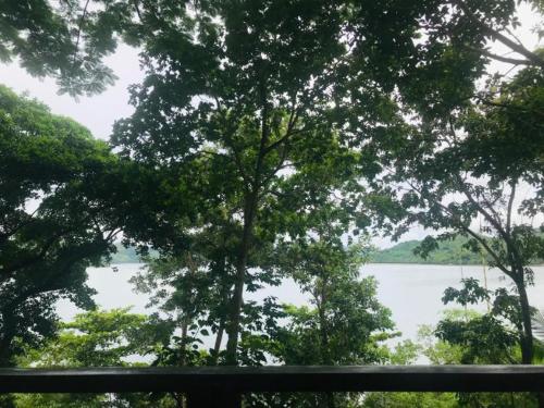 Discovery Island Resort and Dive Center