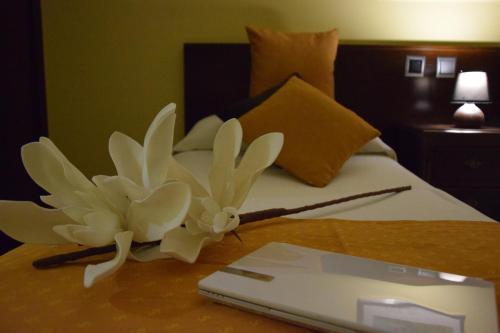 Hostal Complutense