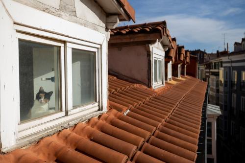 Centro Burgos Los Braseros