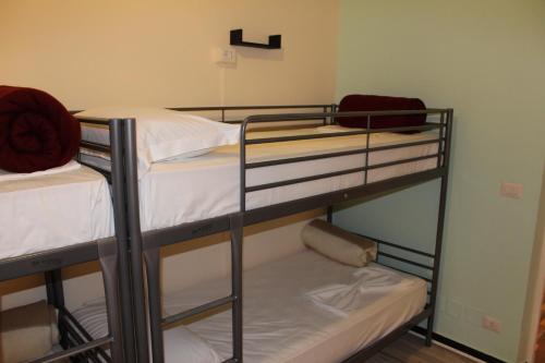 Hostel Victoria House