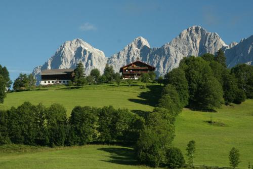 Gasthof-Pension Stammerhof