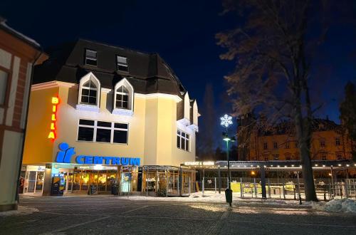 IT Centrum Apartment