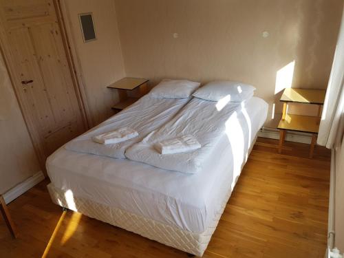 Puffin Hostel Vík