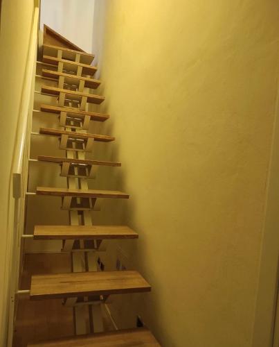 Lauri Loft