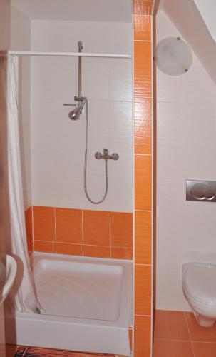 Penzion Janosikova Valaska