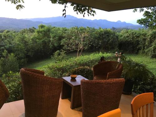 Modern Room with beautiful pool