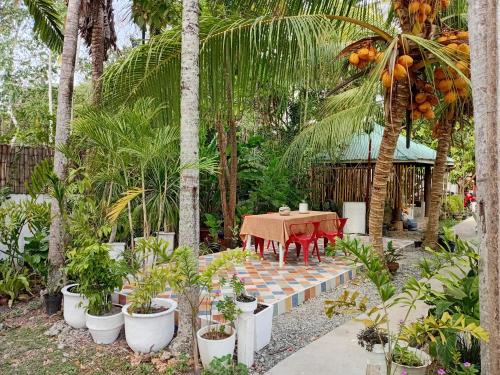 La Vida Orchard Samal