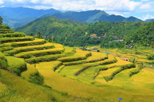 Hiwang Native House Inn & Viewdeck