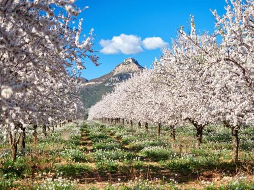 La Casona de la Reina Berta