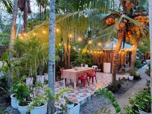 La Vida Orchard Samal