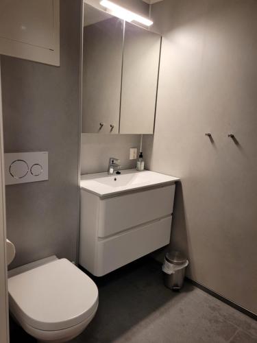 Lapphaugen Turiststasjon