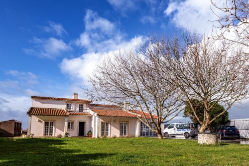 Freesurf Camp & Hostel