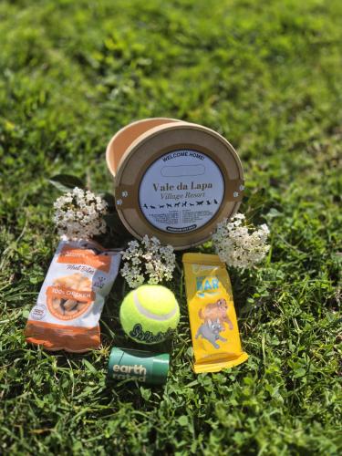 Vale da Lapa Village Resort