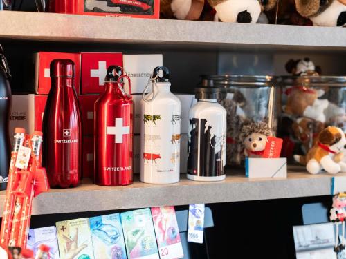 Ibis Budget Genève Palexpo Aéroport