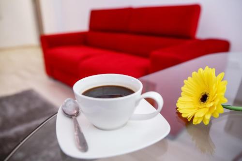 Iassium Residence Copou