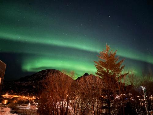 Buodden Rorbuer - Fisherman Cabins