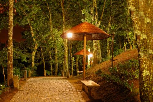 Quinta Da Costa