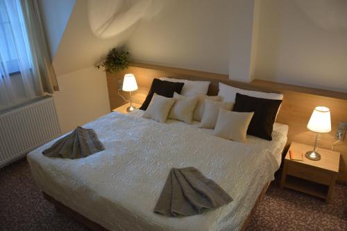 Hotel Zámek Velká Bystrice