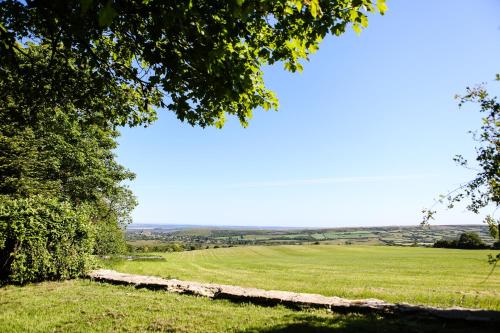 Kingston Country Courtyard