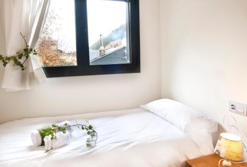 Andorra4Days Incles Novell II