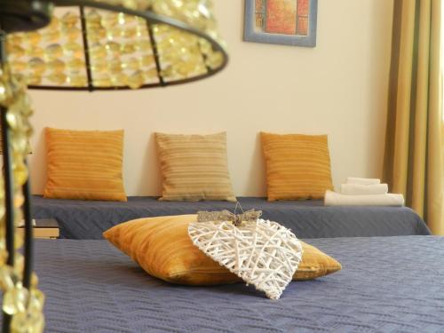 Actinia Accomodation