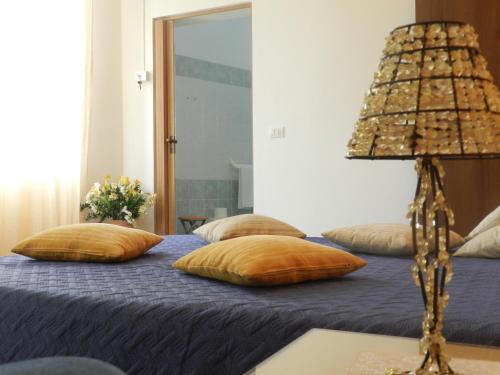 Actinia Accomodation