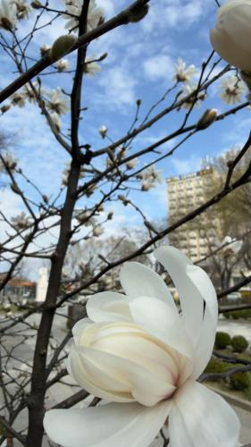 Hotel Cetate Imparatul Romanilor