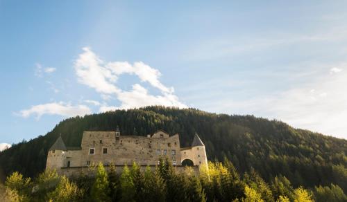 Alberts Heimatglück