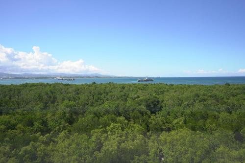 Mangrove Residences Mactan