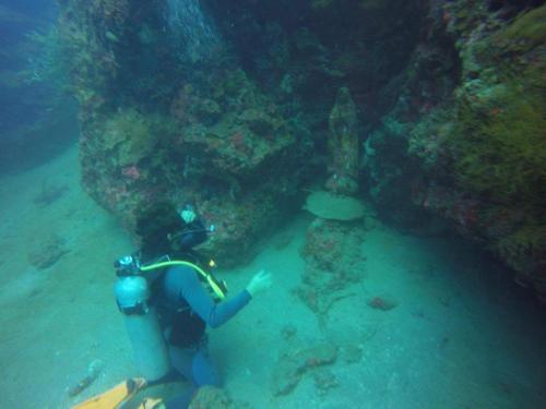 Anilao Scuba Dive Center Resort