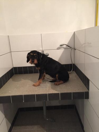 Artgerecht Ferienhauser