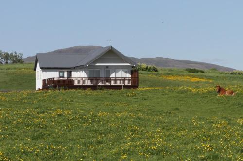 Stryta Guesthouse