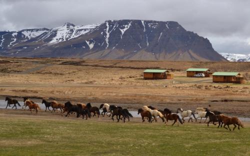 Snorrastadir Farm Holidays