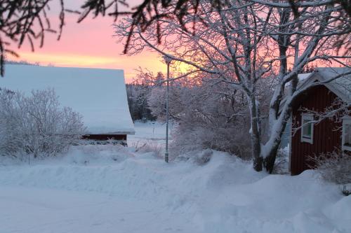 Maatilamatkailu Janisvaara