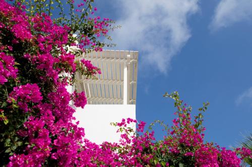 Meli Meli Accommodation