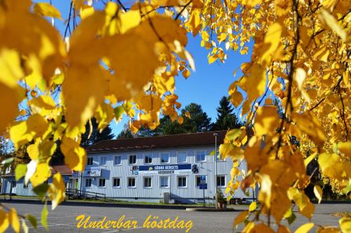 Södra Bergets Vandrarhem
