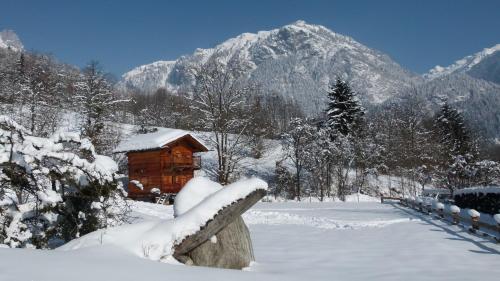Chamonix Petit Chalet Cocooning