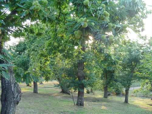 Agriturismo Sorripe