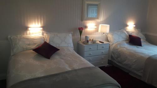 Shannonside House Bed and Breakfast