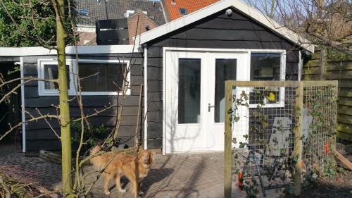 In De Stad En Rustig Als Op Het Platteland