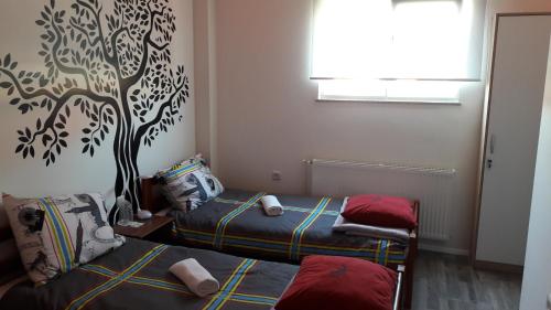 Hostel In Club