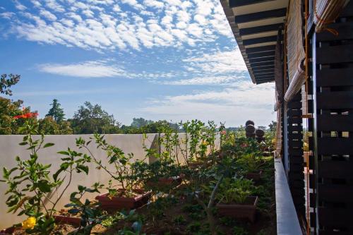 Globetrotter Inn Palawan