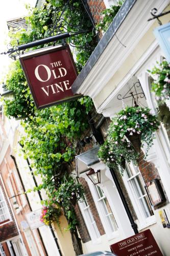 The Old Vine
