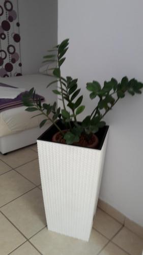 Guesthouse Ivan