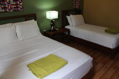 The Purple Tree Bed And Breakfast