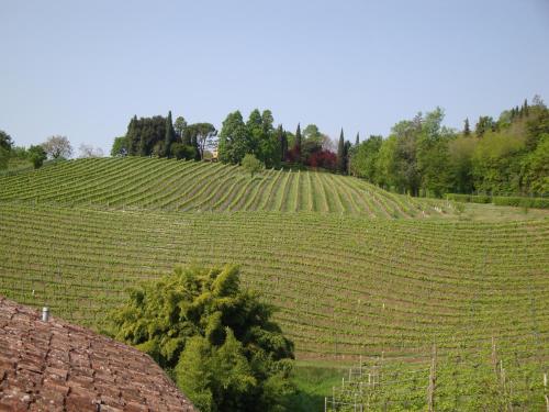 Sporting Ragno d'Oro