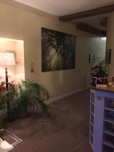 Lyall Apartment Hotel