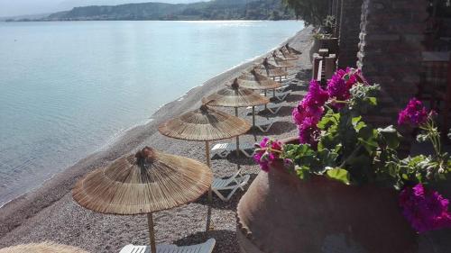 Hotel Castella Beach